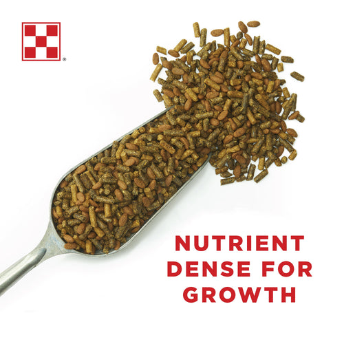 Purina® Ultium® Growth Horse Formula