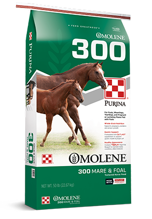 Purina® Omolene #300® Growth Horse Feed (50 lbs)