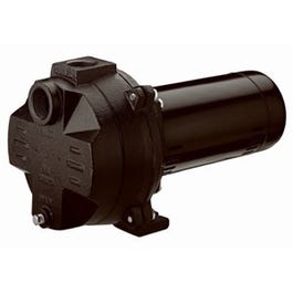 Sprinkler Pump, Cast Iron, 1-HP