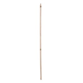 Wood Garden Stake, 6-Ft.