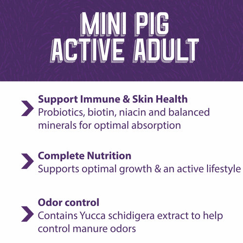 Mazuri® Mini Pig Active Adult