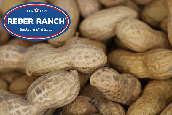 Reber Ranch Peanuts in Shell