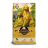 Pinnacle Pet Grain-Free Turkey & Pumpkin Recipe Dry Dog Food