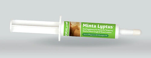 Oralx Corporation  Minta Lyptus Paste for Horses