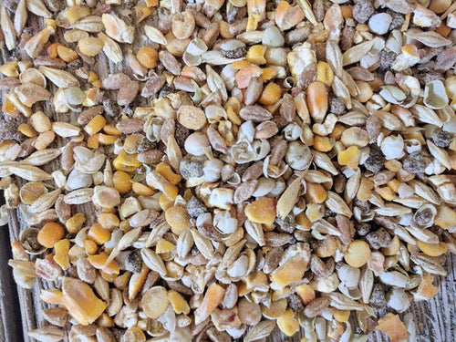 Scratch and Peck Feeds Organic Turkey Grower