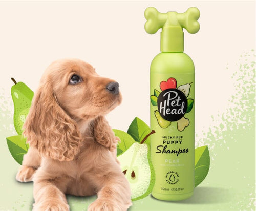 Pet Head Mucky Pup Puppy Shampoo Pear for Dogs