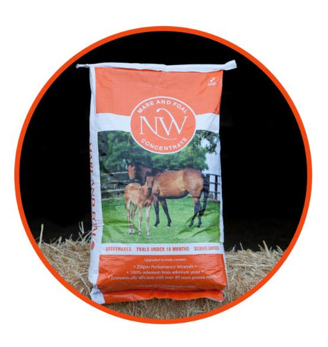 Northwest Mare & Foal Concentrate