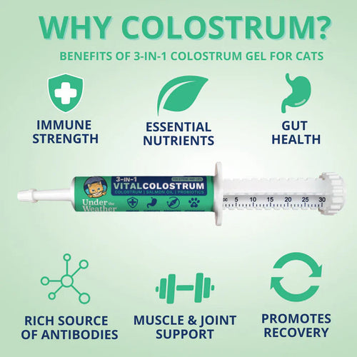 Under the Weather Pet 3-in-1 Vital Colostrum Gel for Dogs