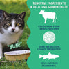 Under the Weather Pet 3-in-1 Vital Colostrum Gel for Dogs