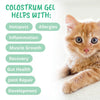 Under the Weather Pet 3-in-1 Vital Colostrum Gel for Dogs