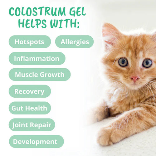 Under the Weather Pet 3-in-1 Vital Colostrum Gel for Dogs