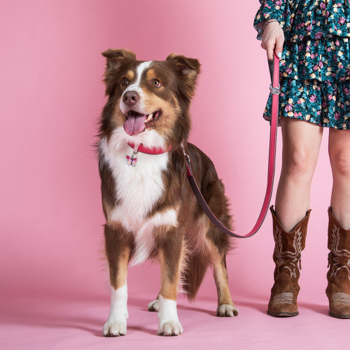 MyFamily Charms Butterfly ID Tag