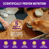 Wellness Complete Health Natural Indoor Adult Grain Free Salmon and Herring Dry Cat Food