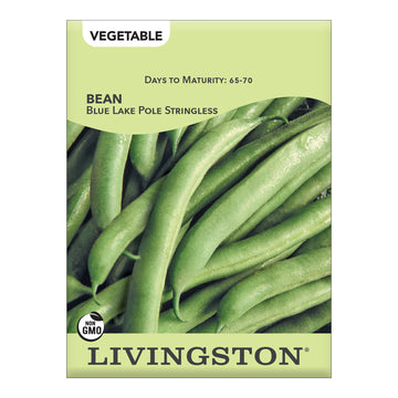 Livingston Bean - Blue Lake Stringless - Pole Green