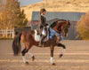 Breyer Dominante XXIX