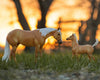 Breyer Ebony Shines & Charlize | Quarter Horse Set | Retired