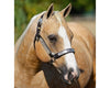 Breyer Ebony Shines & Charlize | Quarter Horse Set | Retired