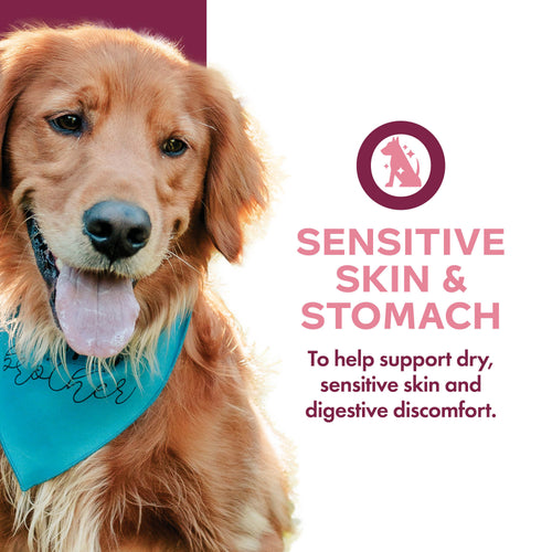 Fromm Nutritionals Sensitive Skin and Stomach Complete Dog Food Pâté