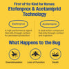 Farnam Endure Gold  Fly & Insect Control