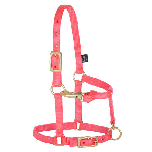 Weaver Miniature Horse Adjustable Chin & Throat Snap Halter