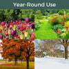 North States Village Collection Early Bird Cafe Birdfeeder