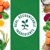 Nutro Wholesome Essentials Adult Dry Cat Food Salmon & Brown Rice Recipe