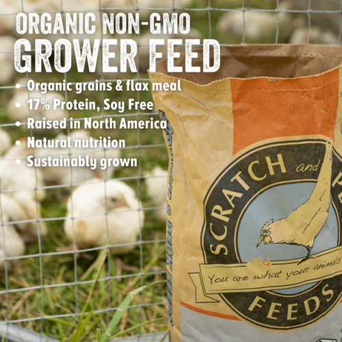 Scratch and Peck Feeds Naturally Free Organic Grower Feed (40 lbs)