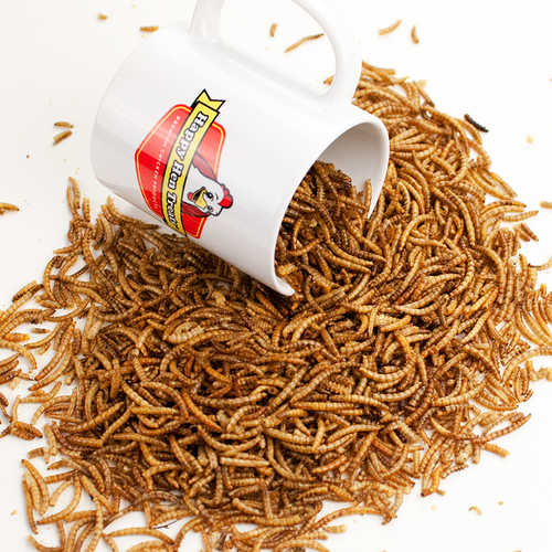 Happy Hen Treats Mealworm Frenzy (30-oz)