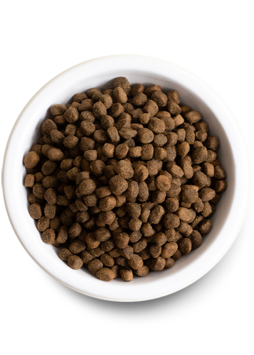 Open Farm Harvest Chicken & Ancient Grains Dry Dog Food (22-lbs)