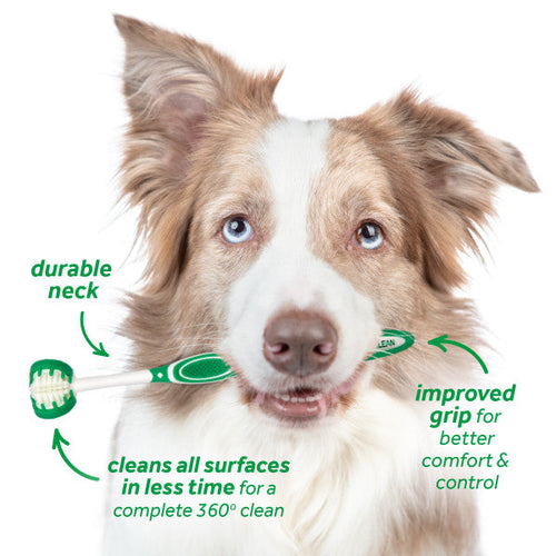 TropiClean Fresh Breath Oral Care Kit for Dogs (Puppy)