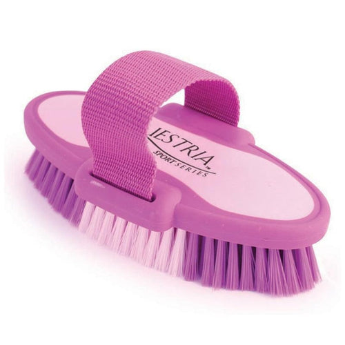 EQUESTRIA SPORT OVAL BODY BRUSH (SMALL/6.75 INCH, PURPLE)